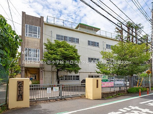 小学校 930m 川口市立鳩ヶ谷小学校