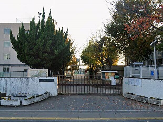 中学校 800m 草加市立新栄中学校