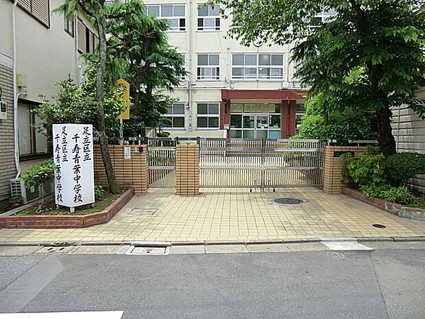 中学校 800m 足立区立千寿青葉中学校