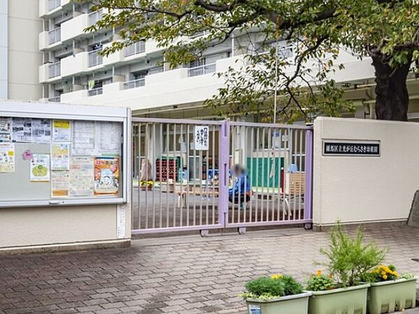 幼稚園・保育園 800m 光が丘むらさき幼稚園