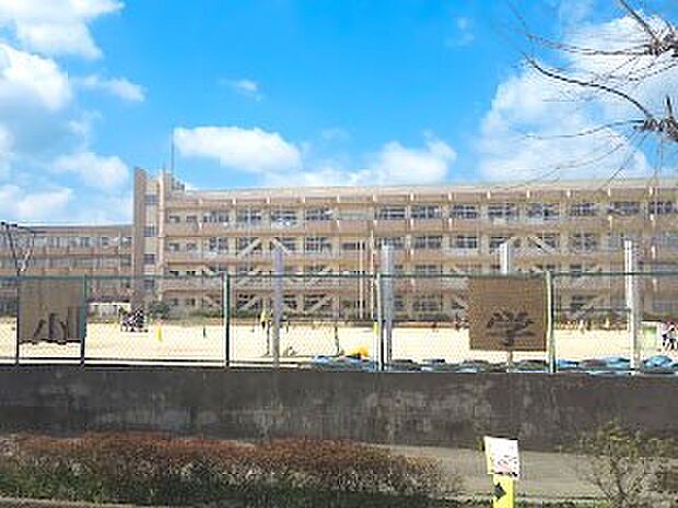 小学校 250m 船橋市立習志野台第二小学校