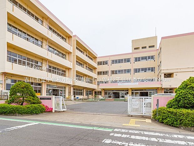 小学校 480m 吉川市立中曽根小学校