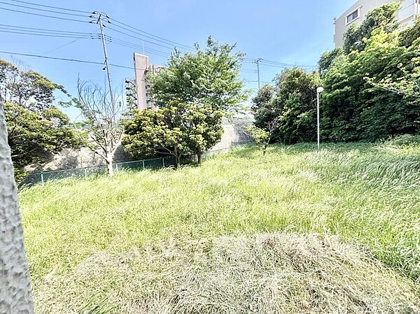 バルコニーからの眺望です。