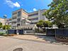 周辺：小学校 960m 松戸市立八ケ崎小学校