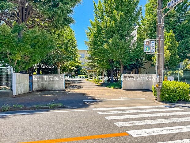 小学校 800m 松戸市立栗ケ沢小学校