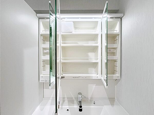 三面鏡の裏に、化粧品や衛生用品などを収納可能。洗面台をすっきりと保ちます！