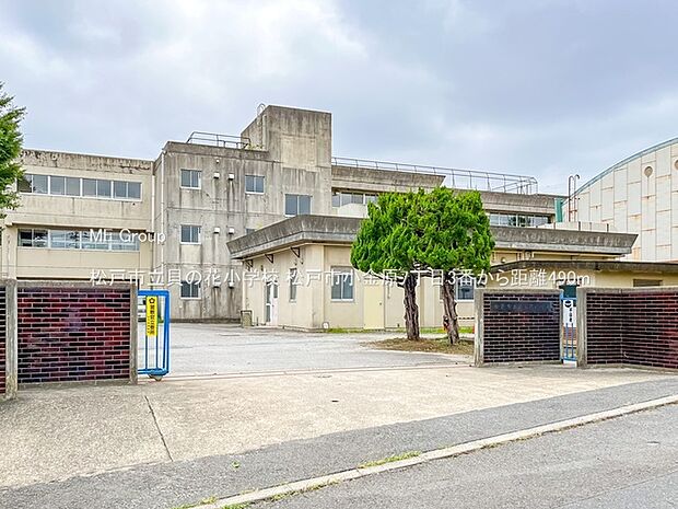 小学校 490m 松戸市立貝の花小学校