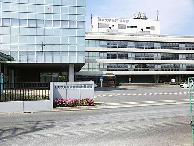 病院 1000m 日本大学松戸歯学部付属病院