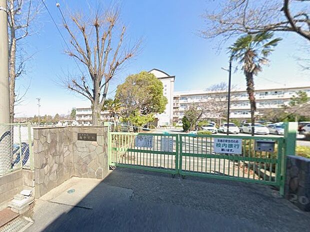 中学校 1000m 越谷市立南中学校