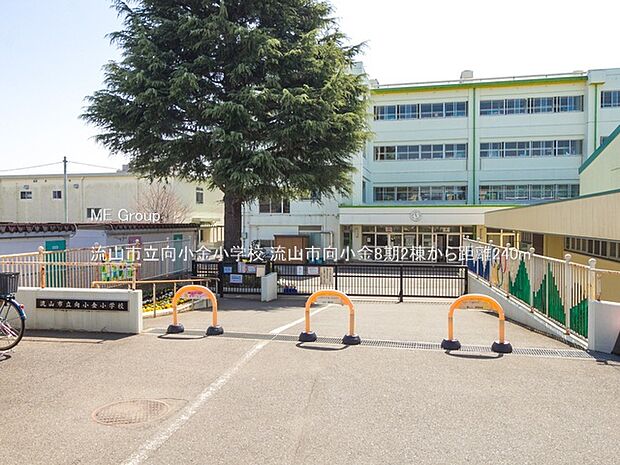 小学校 240m 流山市立向小金小学校