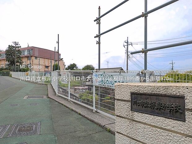 小学校 970m 川口市立根岸小学校