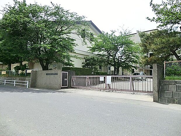 小学校 800m 越谷市立弥栄小学校