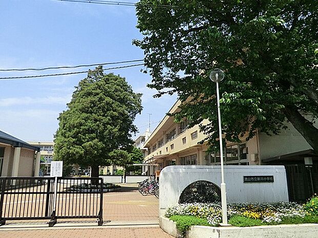 小学校 700m 流山市立新川小学校