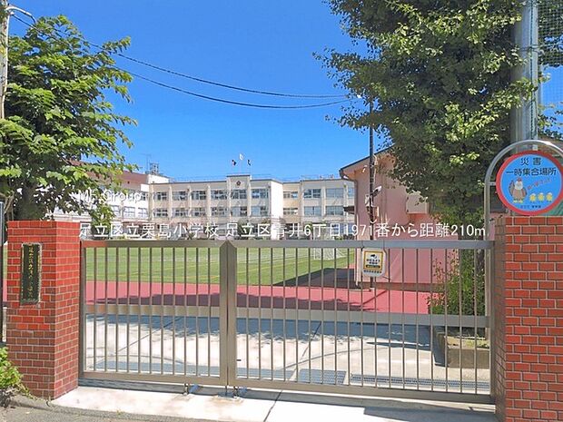小学校 210m 足立区立栗島小学校