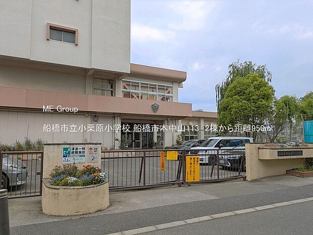 小学校 950m 船橋市立小栗原小学校