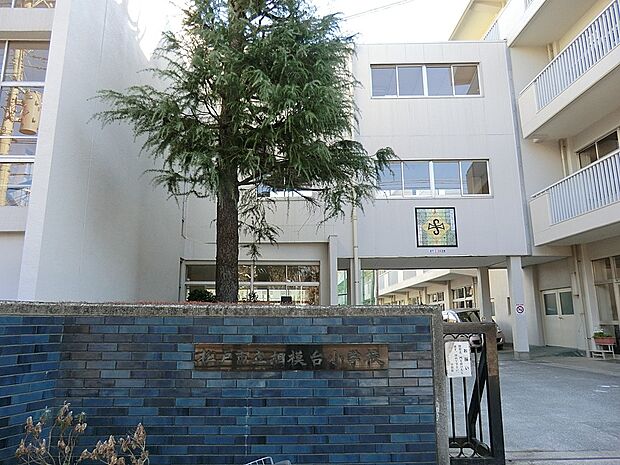 小学校 1000m 松戸市立相模台小学校