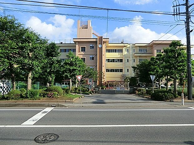中学校 2400m 柏市立柏第五中学校
