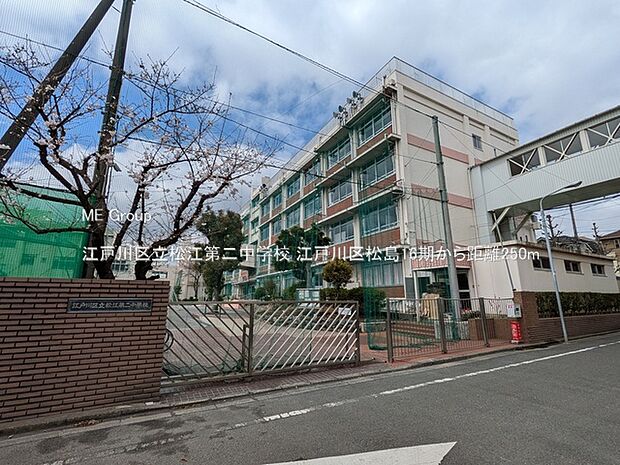 中学校 250m 江戸川区立松江第二中学校
