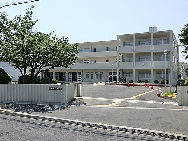 中学校 1700m 松戸市立小金中学校