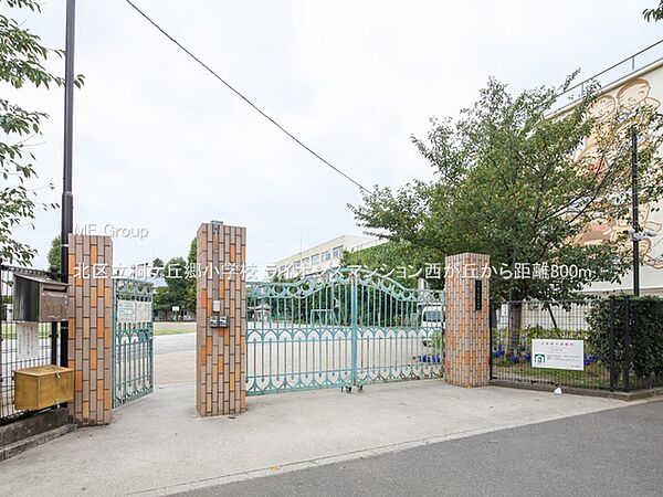 小学校 800m 北区立桐ケ丘郷小学校