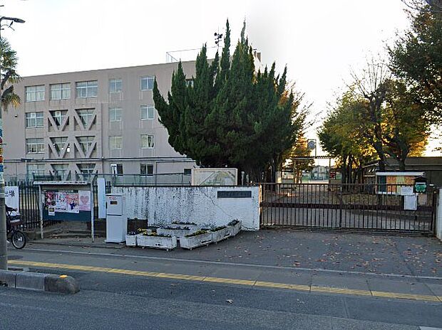 中学校 1100m 草加市立新栄中学校