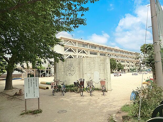 小学校 1100m 松戸市立寒風台小学校