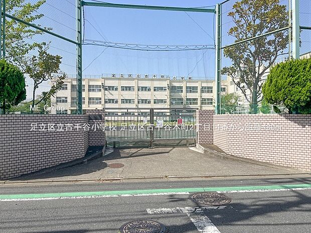 小学校 480m 足立区立古千谷小学校