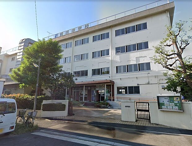 中学校 510m 葛飾区立新宿中学校