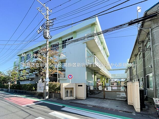 小学校 250m 葛飾区立新宿小学校