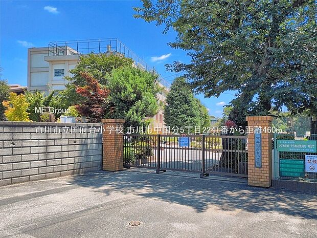 小学校 460m 市川市立国府台小学校