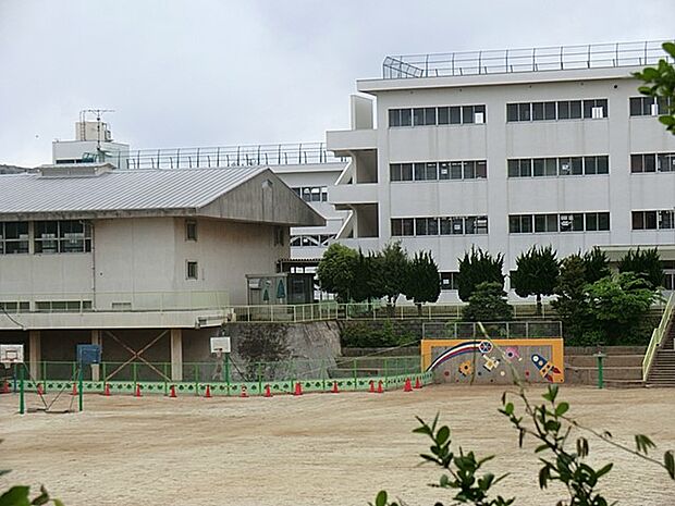 小学校 600m 我孫子市立我孫子第一小学校