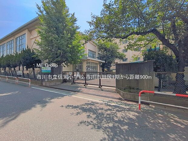 小学校 900m 市川市立信篤小学校