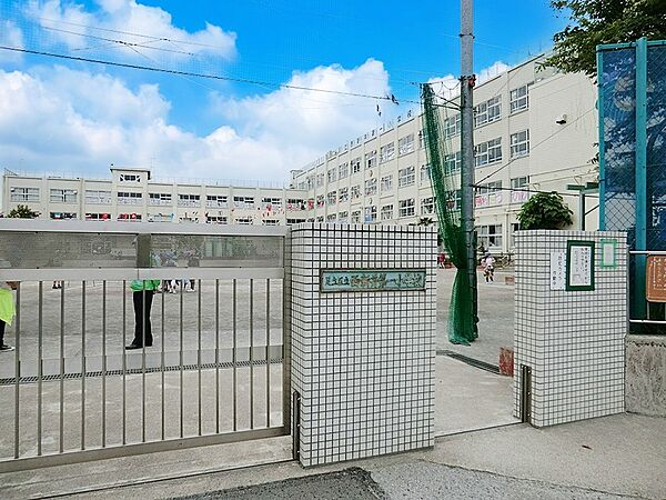 小学校 780m 足立区立西新井第一小学校