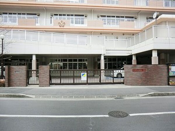 小学校 600m 川口市立元郷南小学校