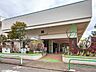 周辺：小学校 290m 板橋区立蓮根第二小学校