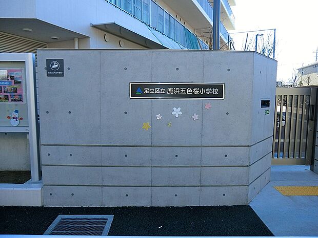 小学校 600m 足立区立鹿浜五色桜小学校