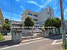 周辺：小学校 290m 練馬区立泉新小学校