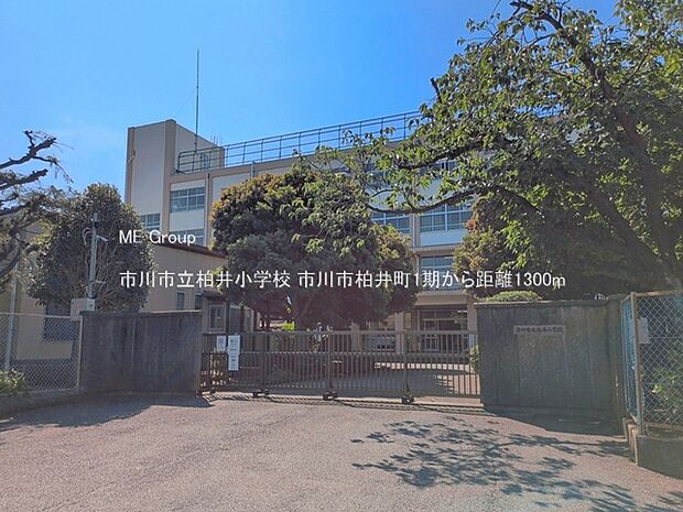 小学校 1300m 市川市立柏井小学校
