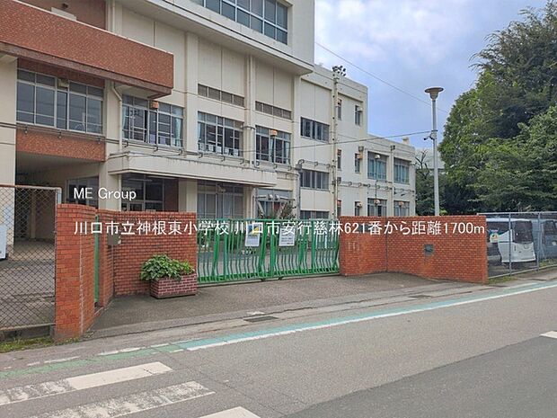 小学校 1700m 川口市立神根東小学校