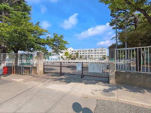 小学校 500m 江戸川区立篠崎第四小学校