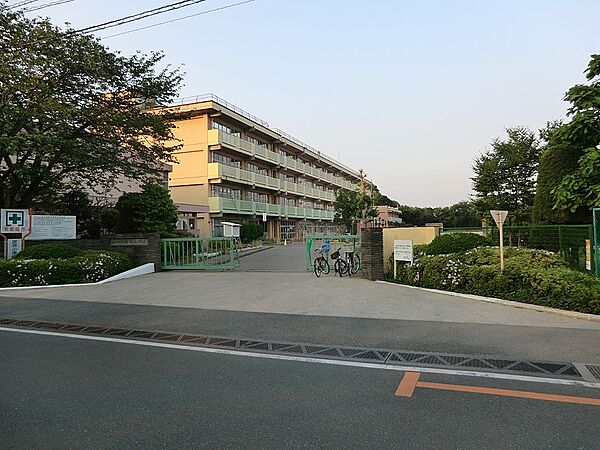 小学校 1750m 柏市立逆井小学校