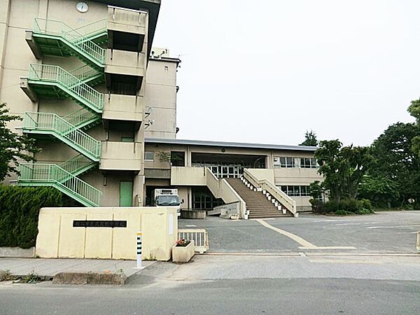 中学校 1000m 越谷市立武蔵野中学校