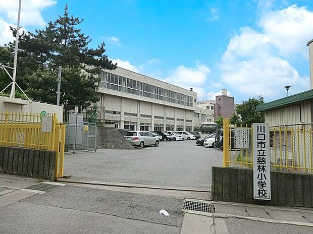 小学校 1022m 川口市立慈林小学校