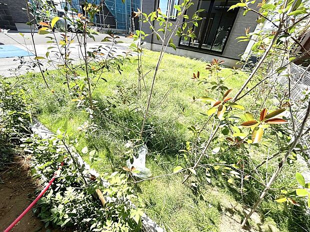 プランターを並べて季節のお花を楽しめるお庭付き。