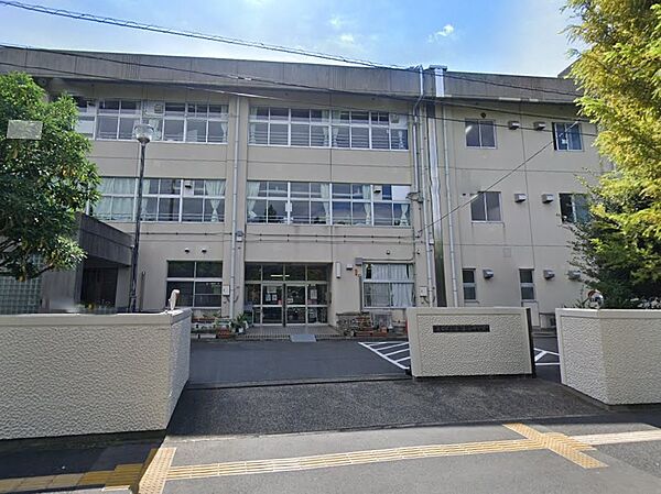 中学校 800m 浦安市立美浜中学校