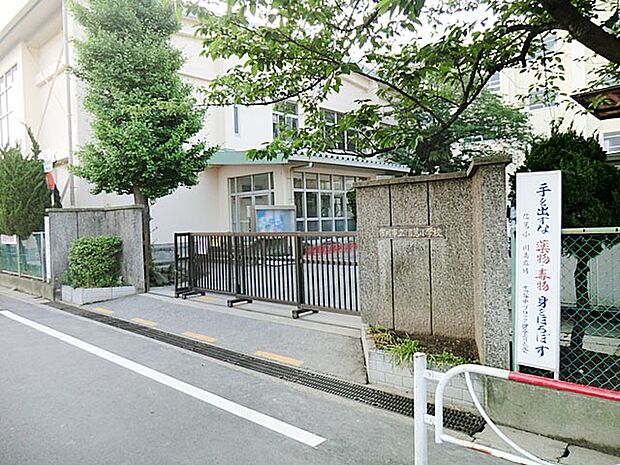 中学校 620m 市川市立信篤小学校