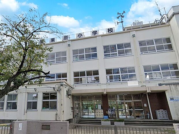 小学校 500m 足立区立東栗原小学校