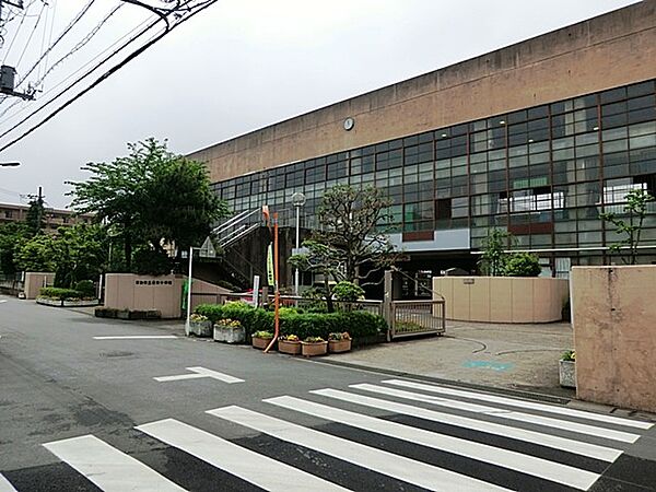 中学校 1200m 草加市立新田中学校