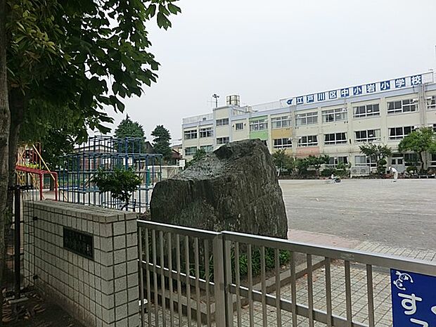 小学校 300m 江戸川区立中小岩小学校