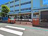 周辺：小学校 650m 葛飾区立新宿小学校